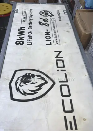 8kwh 24v Eco-Lion Lithium Battery