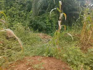 Almost 3 Plots