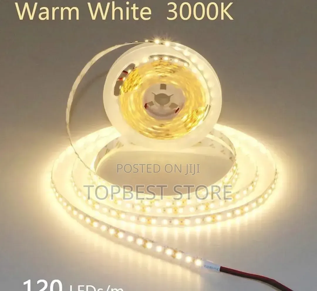 Strip Led Light 10meter Best Quality