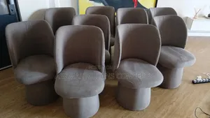 Couch Cleaning Service