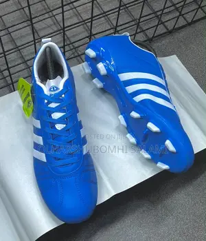 Football Practice Boots