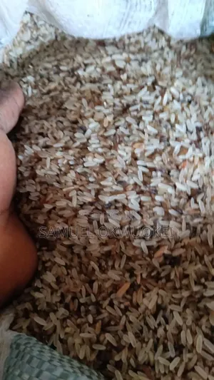 Brown Rice for Dogs