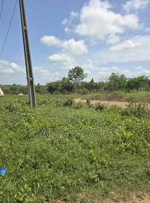 1 Plot of Land - Moniya Iseyin Original Title Direct From Owner