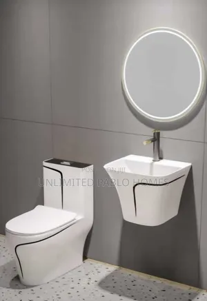 Turkish Luxury One-Piece Toilet +Basin Combo