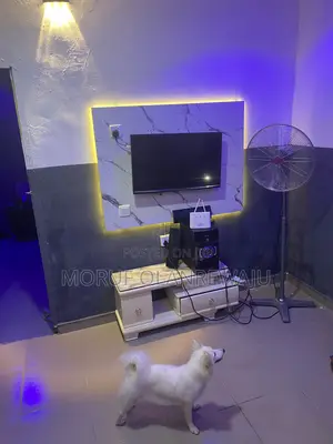 1+ year Female Purebred American Eskimo