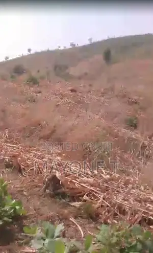 R/O 4 Hectares Land for Sell at Orozo, Abuja
