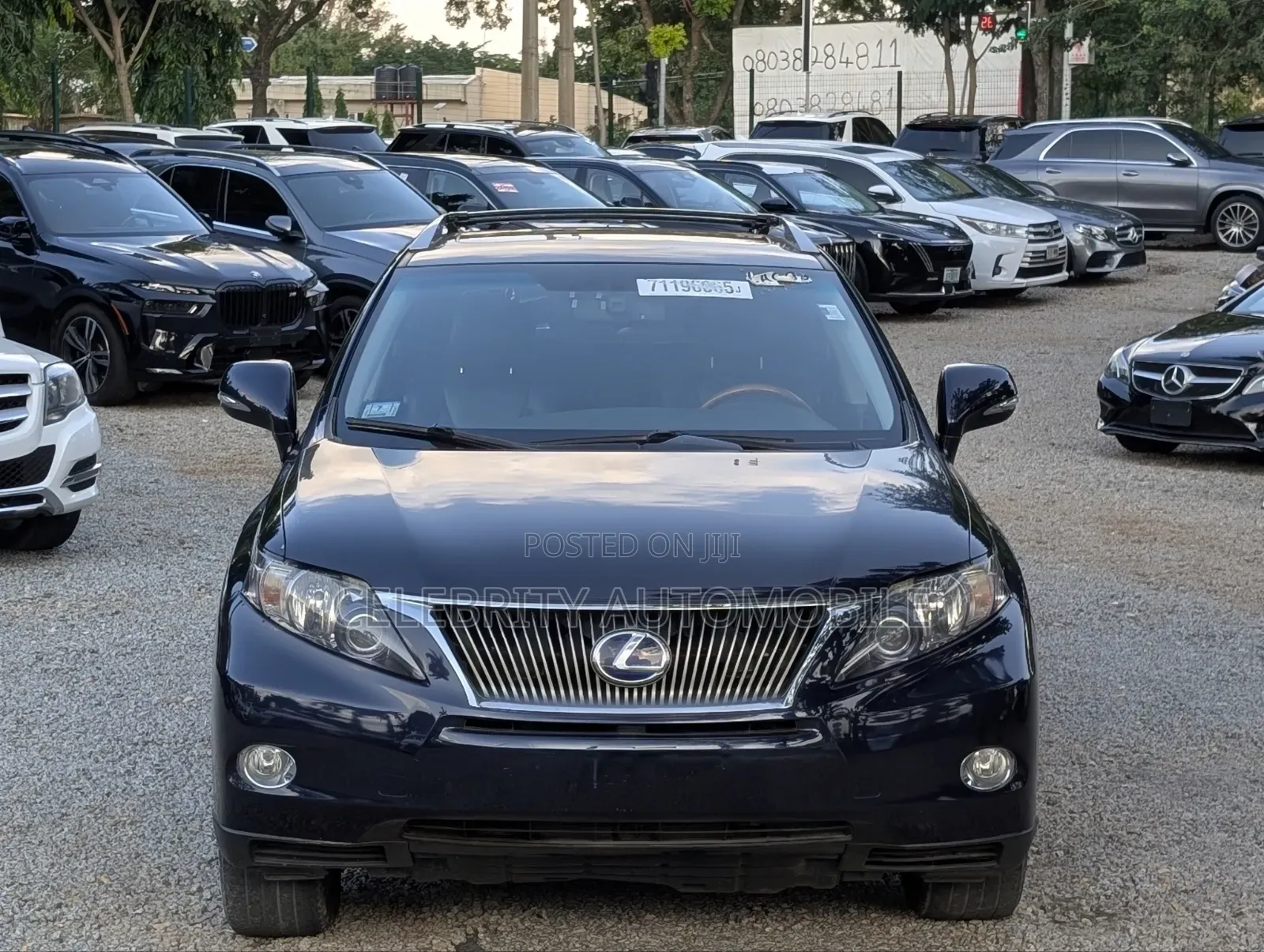 Lexus RX 2010 Blue