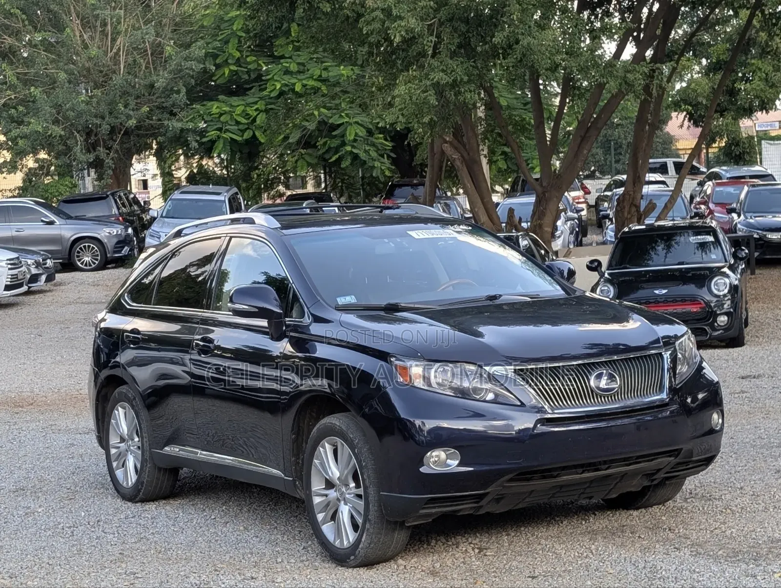 Lexus RX 2010 Blue