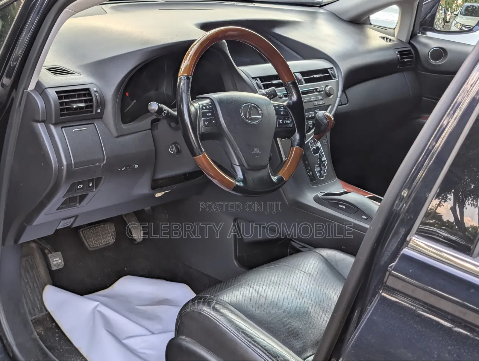 Lexus RX 2010 Blue