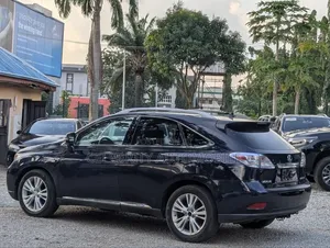 Lexus RX 2010 Blue