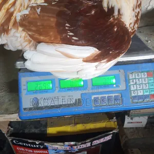 Cockreal 2.5kg