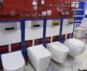 Wall-Hung Water Closet- Concealed Cistern Frame