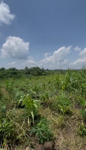 Farmland for Sale