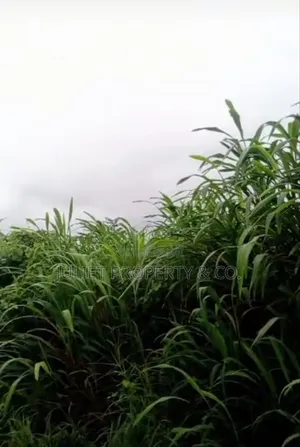 One Plot of Land for Sale at Owerri Ino State Nigeria