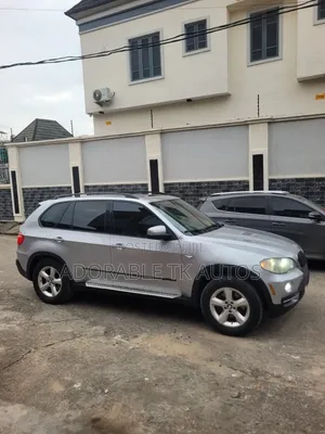 BMW X5 2009 Silver