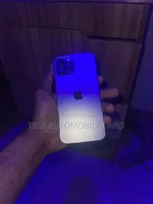 Apple iPhone 12 Pro Max 256 GB Graphite