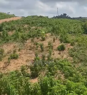 4800 SQM Land for Sell in Pyakasa, Abuja
