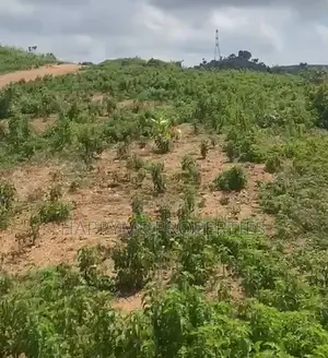 4800 SQM Land for Sell in Pyakasa, Abuja