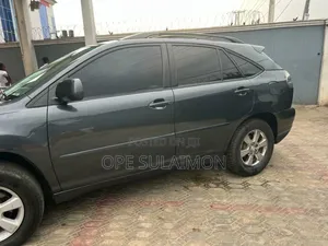 Lexus RX 350 AWD 2008 Gray