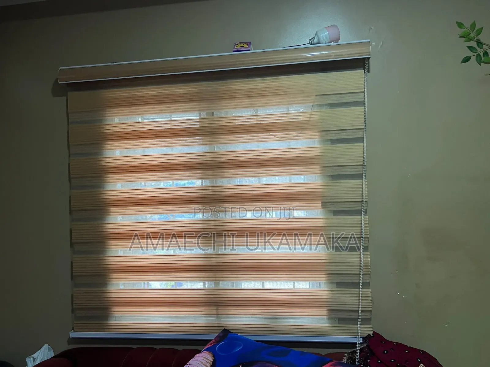 2 PCS of Windows Blind