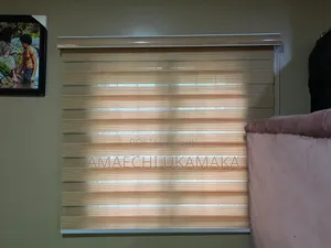2 PCS of Windows Blind