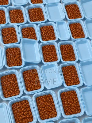 Delicious Cooked Beans Available!