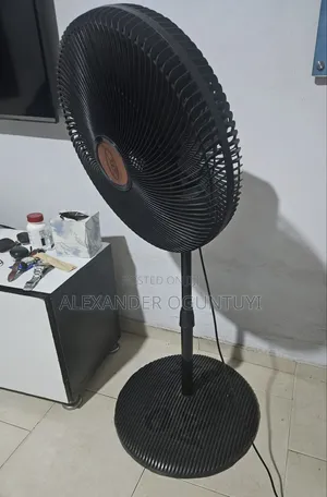Standing Fan for Sale