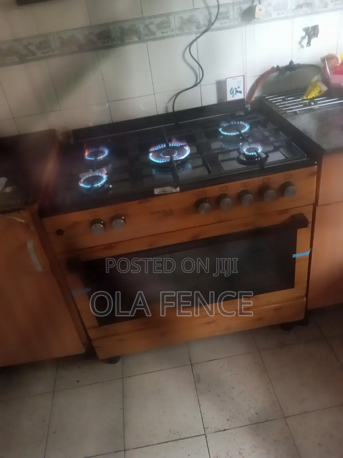 Electric Gas Cooker