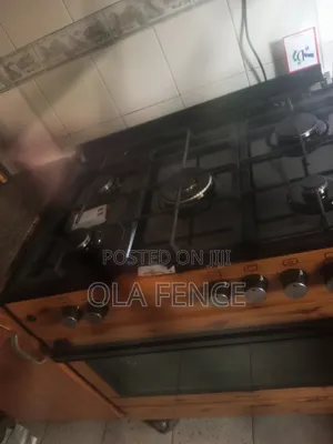 Electric Gas Cooker