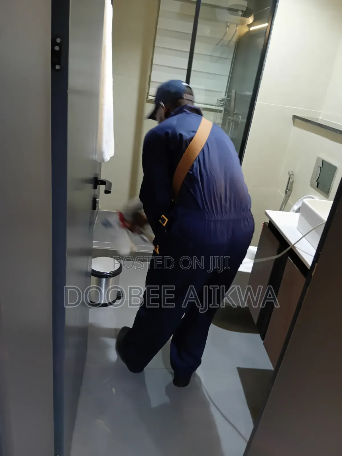 Home and Hotel Pest Control and Cleaning