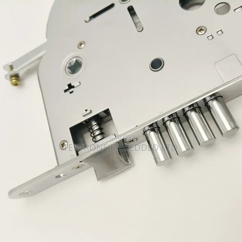 Israeli Mortise (Heavy Duty Security Doors)