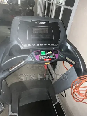 Luxurious Cybex Treadmill
