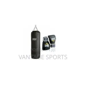 Everlast Punching Bag With Boxing Glove –Boxing Fitness Training Set