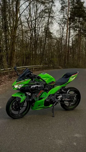 Kawasaki Ninja 400 2018 Green