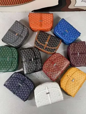 Goyard Bag