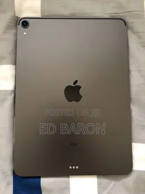 Apple iPad Pro 256 GB Gray