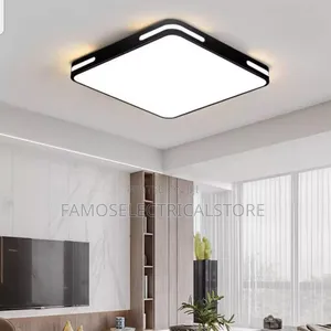 Ceiling Fitting LED Light