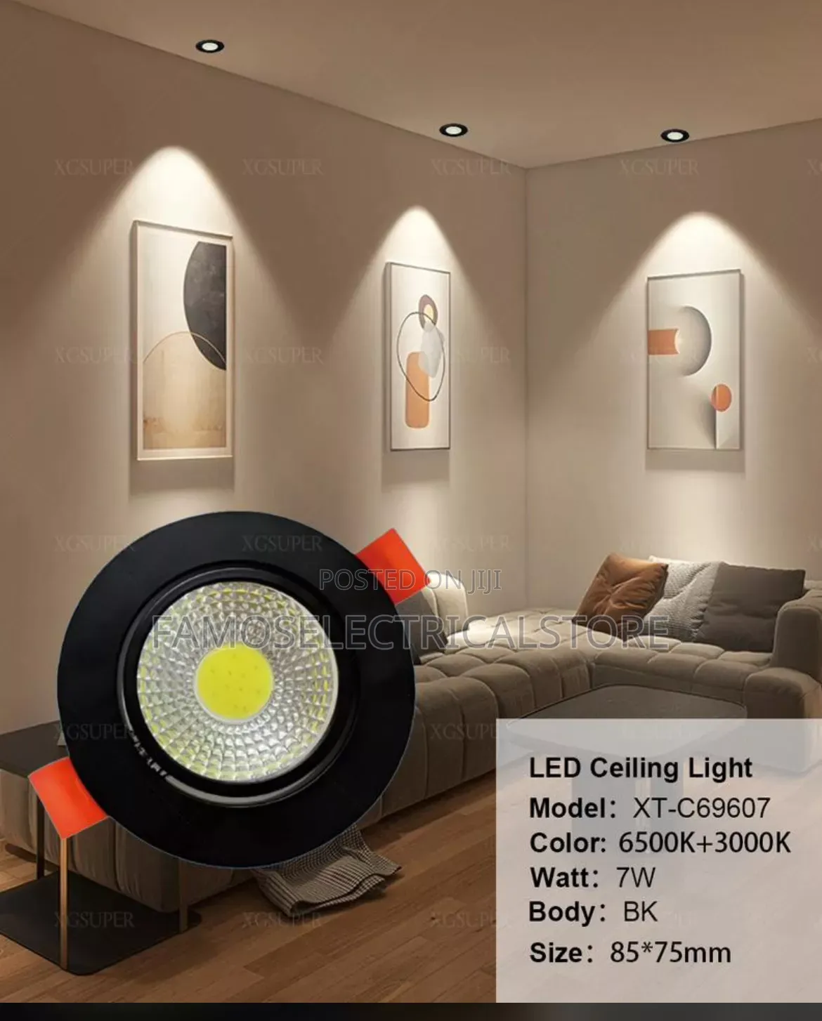Ceiling Spot Light