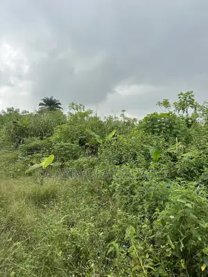 Agric Land for Sale