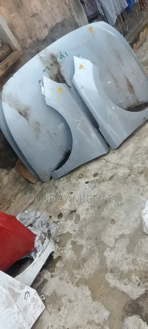 Hyundai Elantra GT 2018 to 2020 Fender and Bonnet
