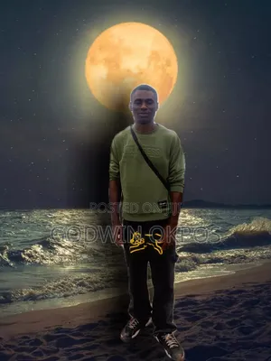 Mr Godwin eManuel Okpos