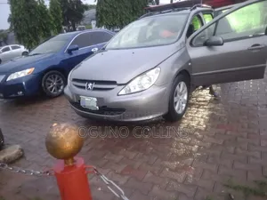 Peugeot 307 2008 Silver