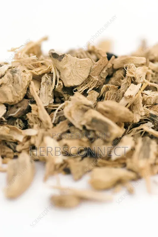 Poke Root - 50g