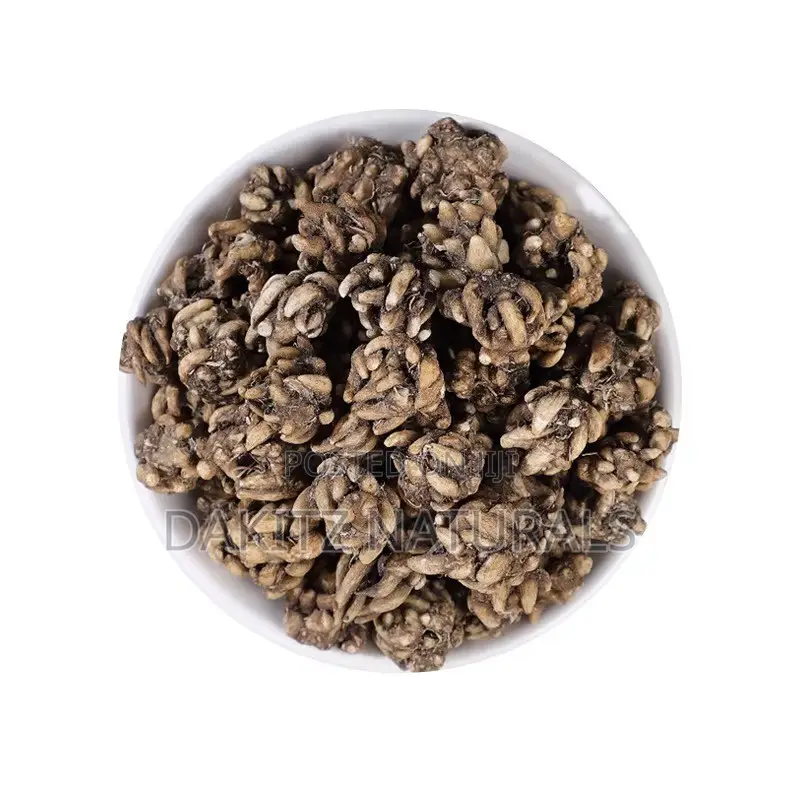 Cat’s Claw Herb (Ranunculus Ternatus) – Mao Zhua Cao