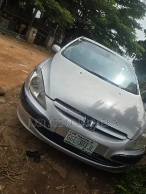 Peugeot 307 2007 Silver