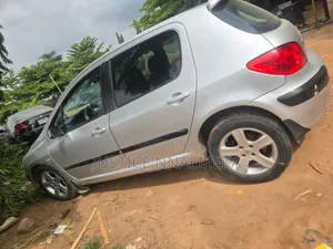 Peugeot 307 2007 Silver