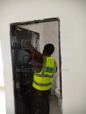 Do You Need PROFESSIONAL CLEANER to Handle Cleaning of Your Apartment?
