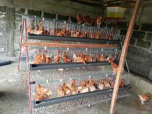 3 Tiers of New Cages of 96 and 120birds Capacities