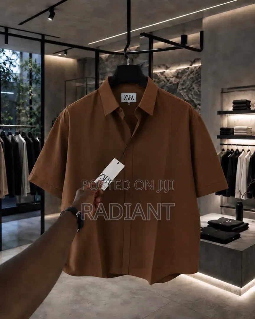 Zara Shirt