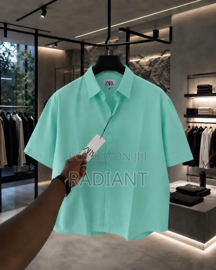 Zara Shirt